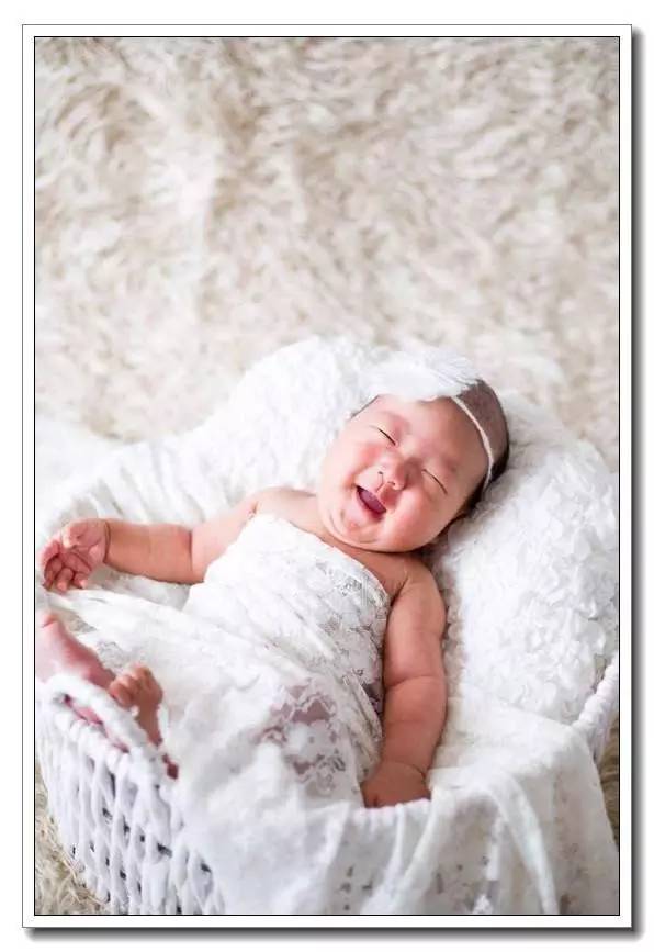 社区精华有鱼成长之路