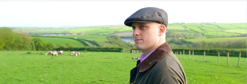 婴幼儿中国食品,中国婴儿食品