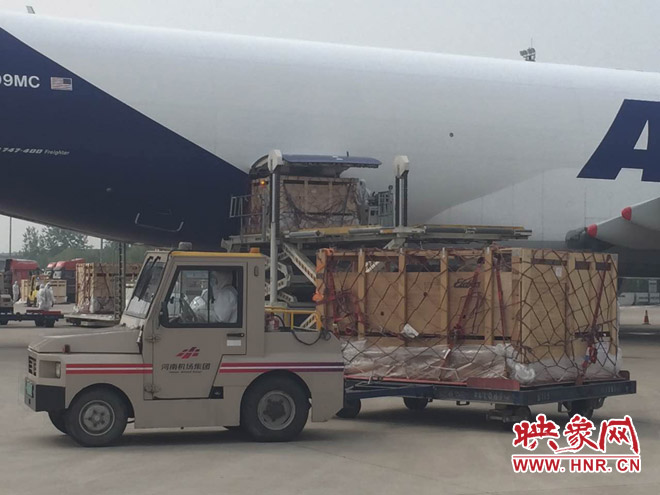 澳洲进口肉牛出售,中国进口澳洲安格斯牛1头80万