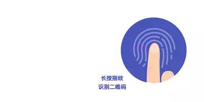 碗莲睡莲荷花种子区别,碗莲荷花睡莲图片