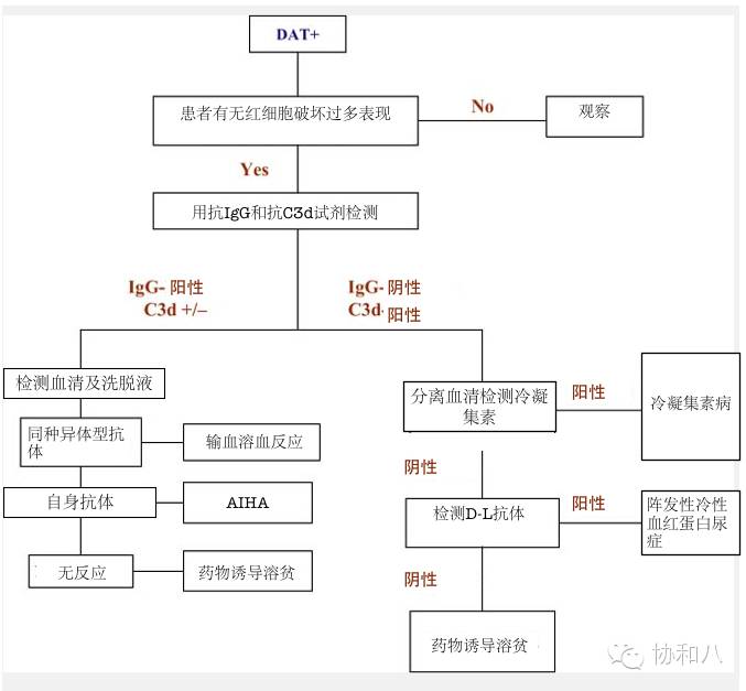 是COOMBS，不是Combs|一页手册·协和八