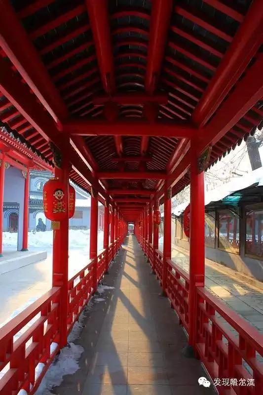 哈尔滨极乐寺是天台还是净土,哈尔滨极乐寺不堪回首的往事