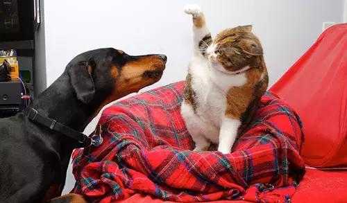 一周大事记|联通电信热恋ing、AppleStore来袭