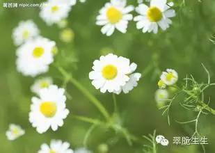 买了件很贵的衣服被亲戚说是假货,狠心买衣服