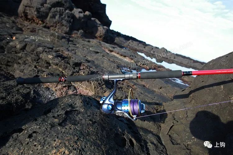 海钓矶钓新手的入门教程,海钓矶钓技巧教学解说