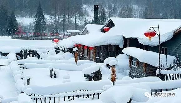 鸿雁知天下简介,鸿雁知天下