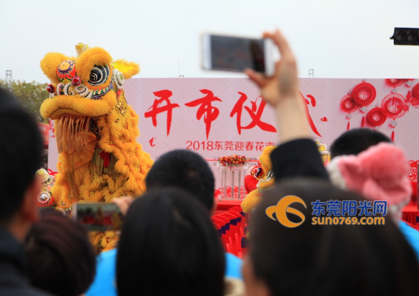 武汉迎春花市新品种,一年一度的迎春花市即将闪亮登场