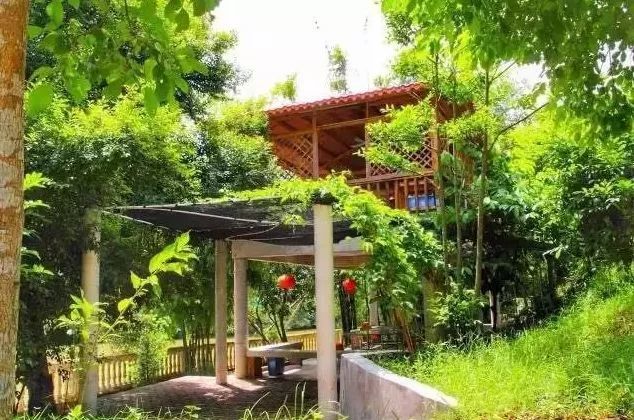 东兴年味,在东兴过年的感受