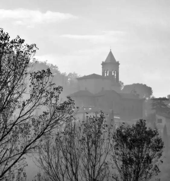 章子怡奢侈品价格,章子怡同款羽毛西服