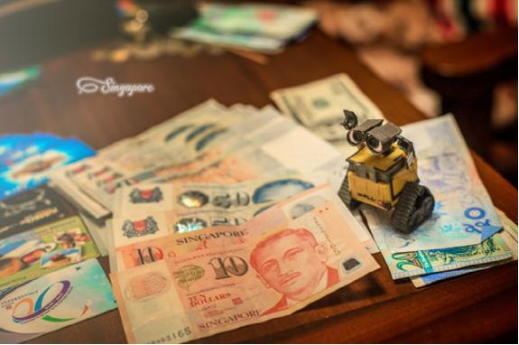 新加坡东海岸附近旅游攻略,新加坡购物攻略及必买清单