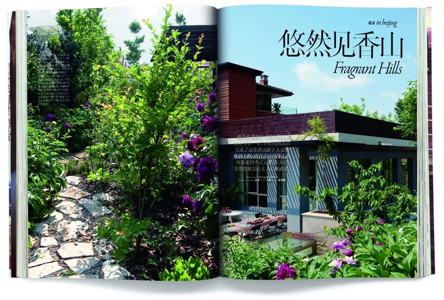 狗年除夕夜｜那些上过《安邸AD》的狗朋友们怎么样了？