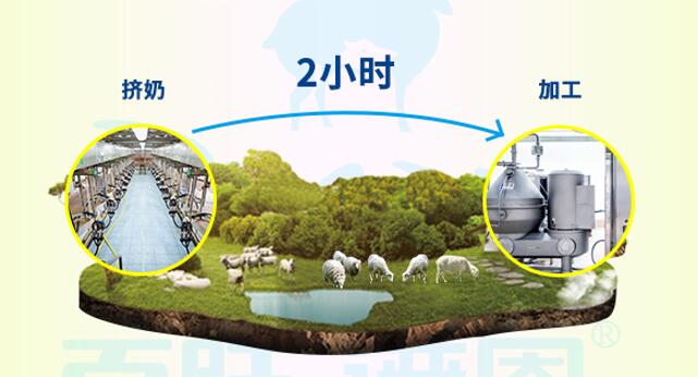 谱恩百跃绵羊奶配方表,谱恩百跃绵羊奶怎么样