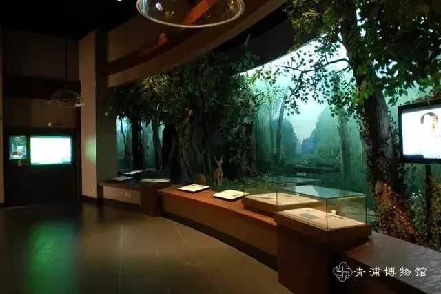 上海17号地铁能直达朱家角镇,上海朱家角地铁17号线出口