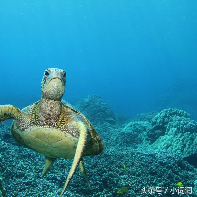 明星的婚礼都在哪里举行,明星中最浪漫的婚礼