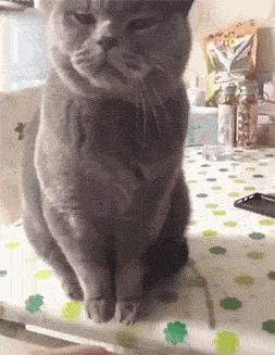 星巴克咖啡最新消息,星巴克供应链不为人知的秘密广告