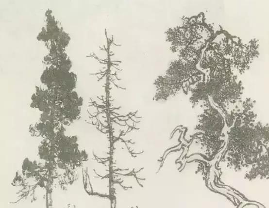 怎么画枯萎的树简单又好看,成长树怎么画小学生六年级