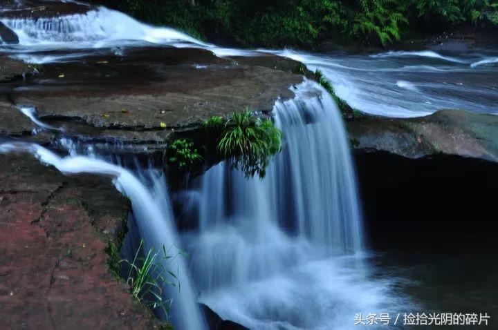 风过竹林的诗句,诗风入林