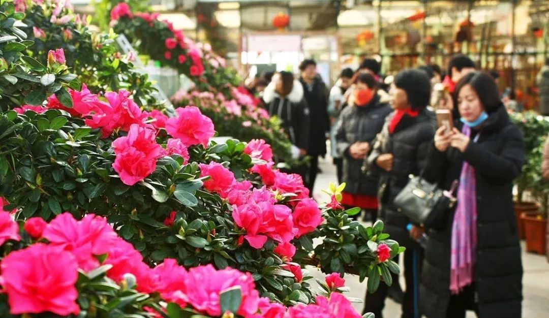 游玩攻略赶紧收藏,怎么收藏自己旅游过的地方