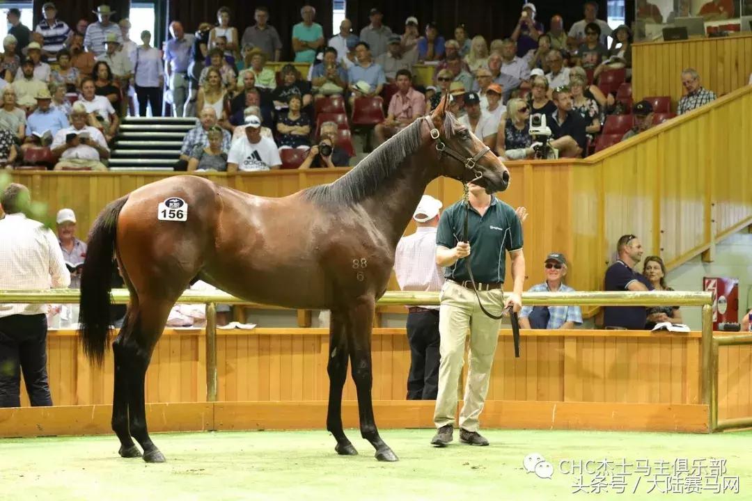 迪拜王室7辆价值60亿黄金跑车,迪拜王子买了13亿奔驰