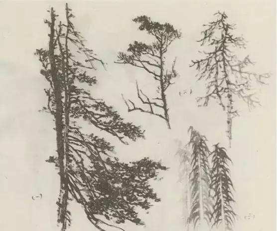 怎么画枯萎的树简单又好看,成长树怎么画小学生六年级