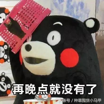 十大网红精华测评,网红精华必买产品