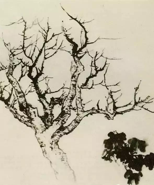 怎么画枯萎的树简单又好看,成长树怎么画小学生六年级