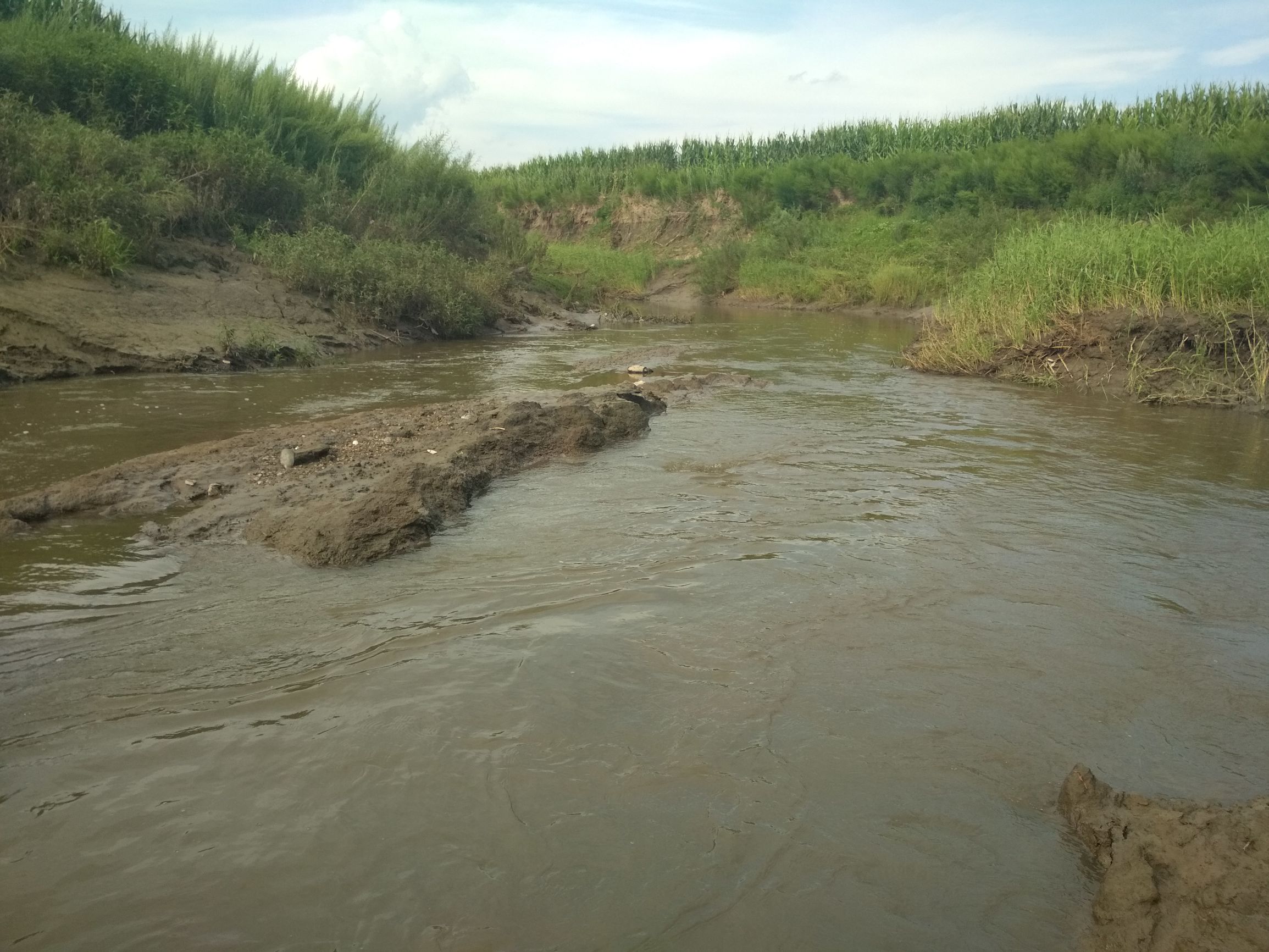 国贸毕业，都去哪里工作了