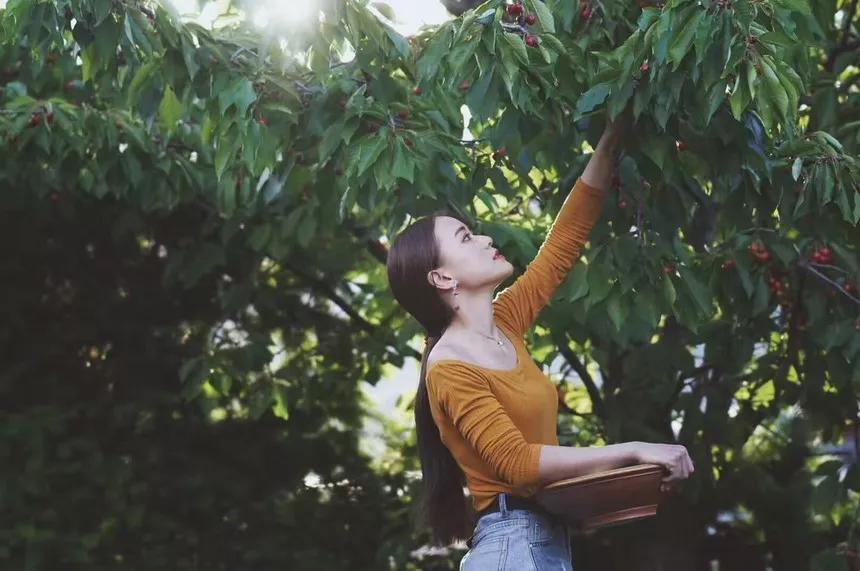 可以媲美欧洲的自驾游地区,十大适合自驾游的国家