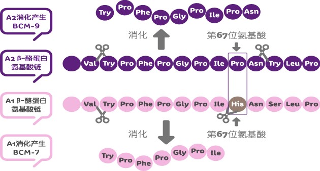 还在买阿迪耐克吗,还在买高价奶粉吗