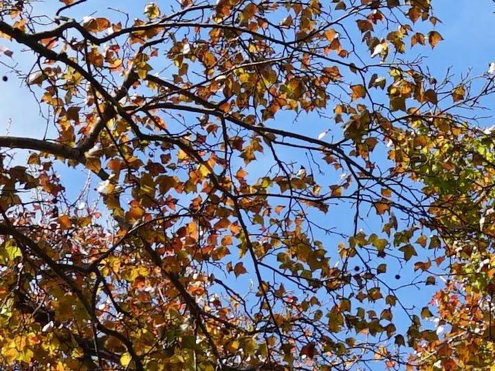 e-mount索尼,emount镜头焦段