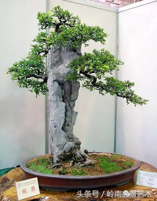 过年送礼好不好,过年送礼单数还是双数好