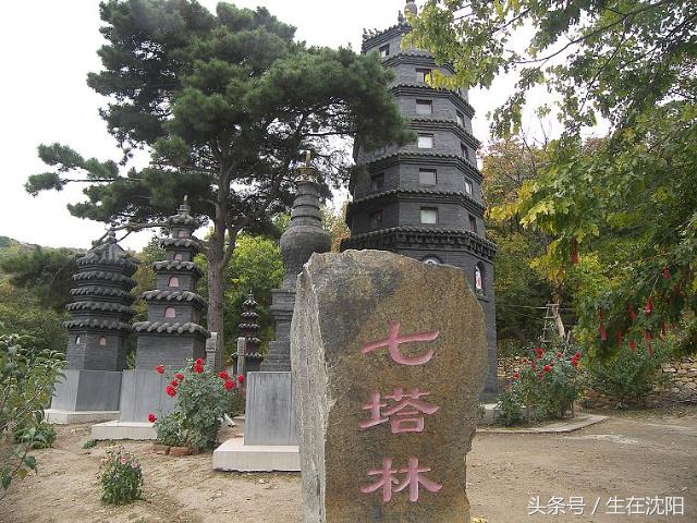 沈阳的五龙山在哪,沈阳五龙山有多高