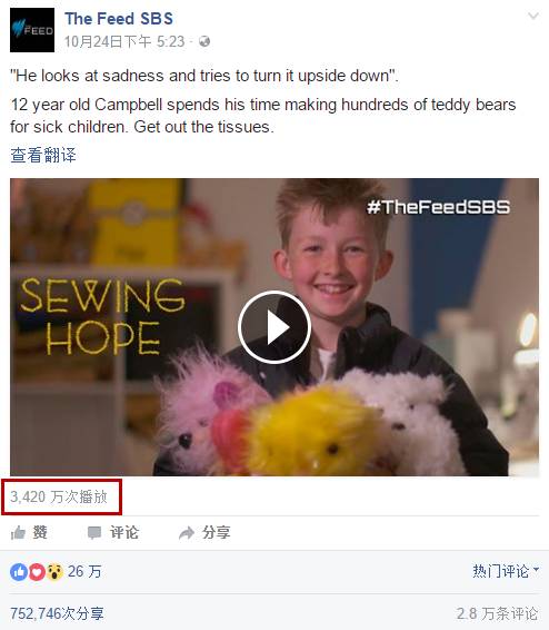 坎贝尔泰迪熊,坎贝尔金丝熊