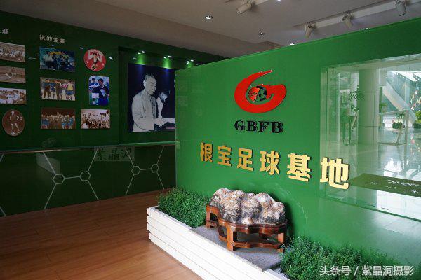 武磊身价能涨到2000万欧吗,武磊最新身价达2000万欧