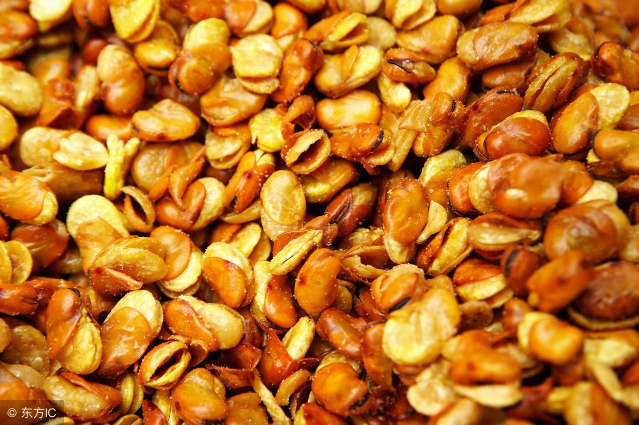 这种豆子是川菜的原料下酒的美食！可林下套种，一亩多赚3000元！