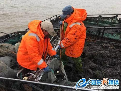 2018年12月19日全国水产价格,水产塘口每日最新报价