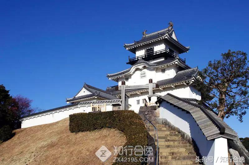 草莓补给，初春十里茶园为赛道，来挂川喝茶跑马！