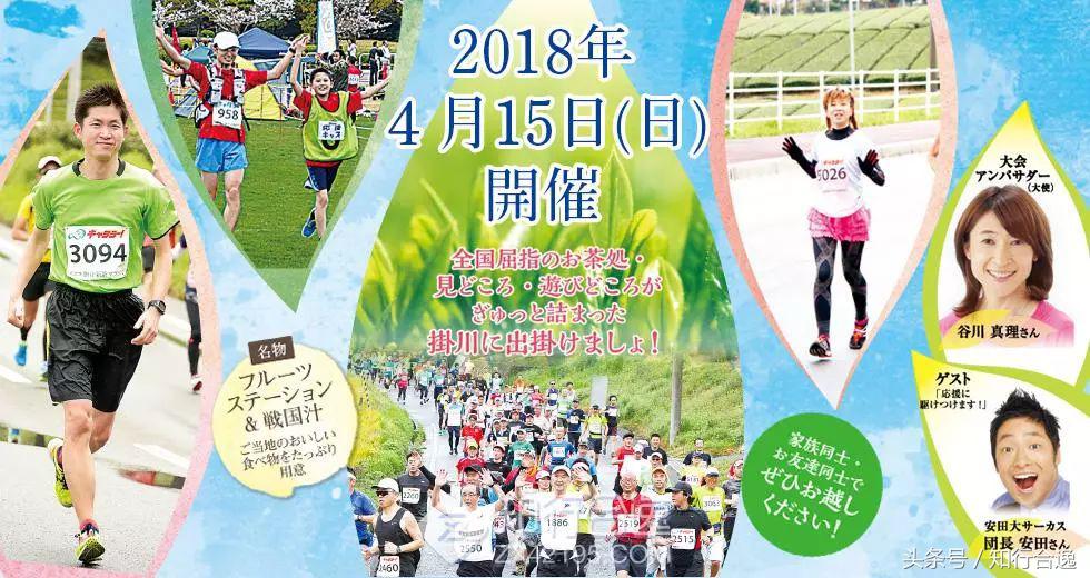 草莓补给，初春十里茶园为赛道，来挂川喝茶跑马！