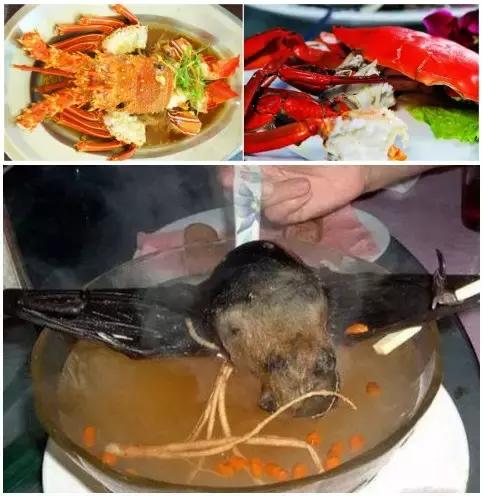 帕劳旅游攻略小册子,帕劳旅游攻略大全集