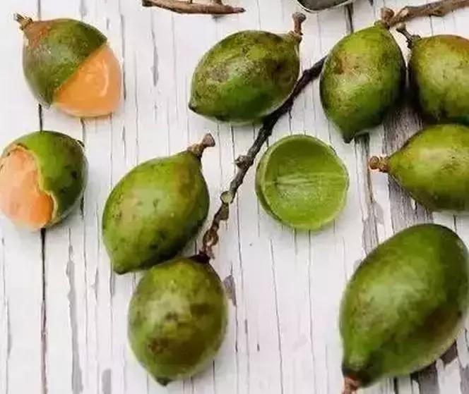 盘点一下那些少见而又奇葩的水果,千奇百怪的水果图片