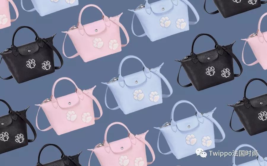 吐槽完了狗年单品，你给你的狗主子买了什么？