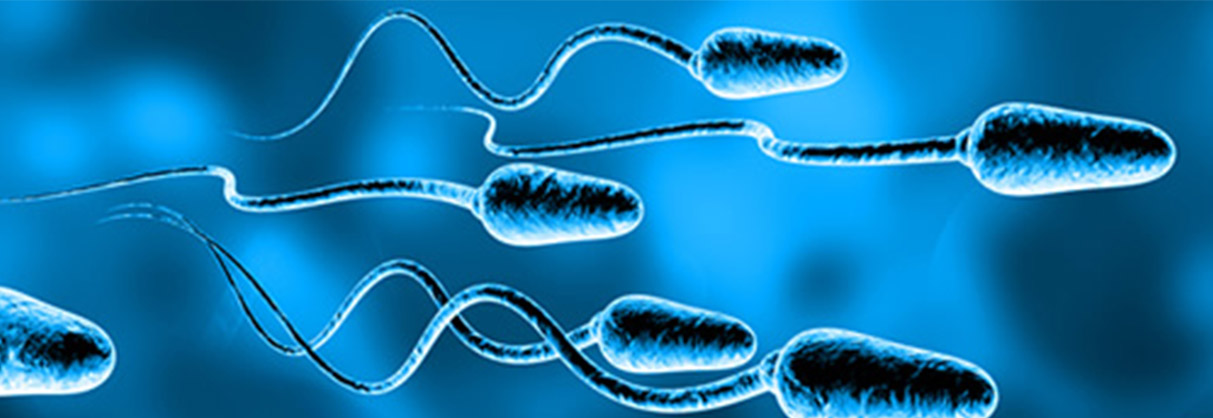 他的经历告诉你：不育的人治牙后也能有宝宝