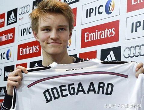 侯永永和厄德高,侯永永厄德高哈兰德