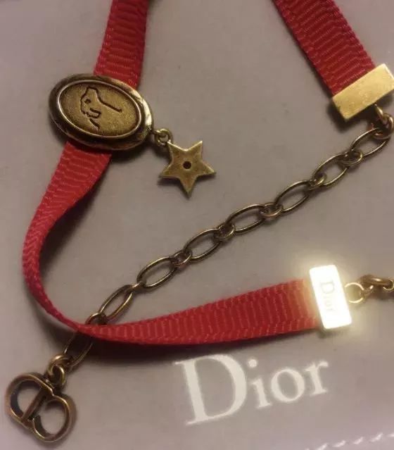 狗年限定,哪家的狗最吸引小仙女注意?万里挑一丨品臻