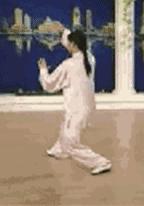 太极二十四式入门基本动作,太极入门学24式吗