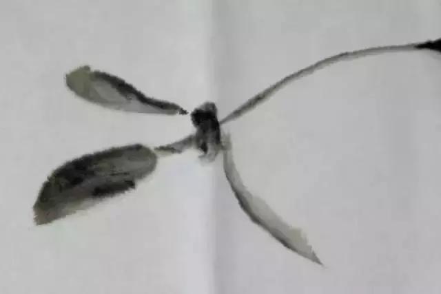 果果小写意牡丹画法教学视频,王绣写意牡丹画法零基础视频