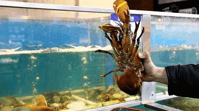 天津超级大市集,天津大胡同年货市场