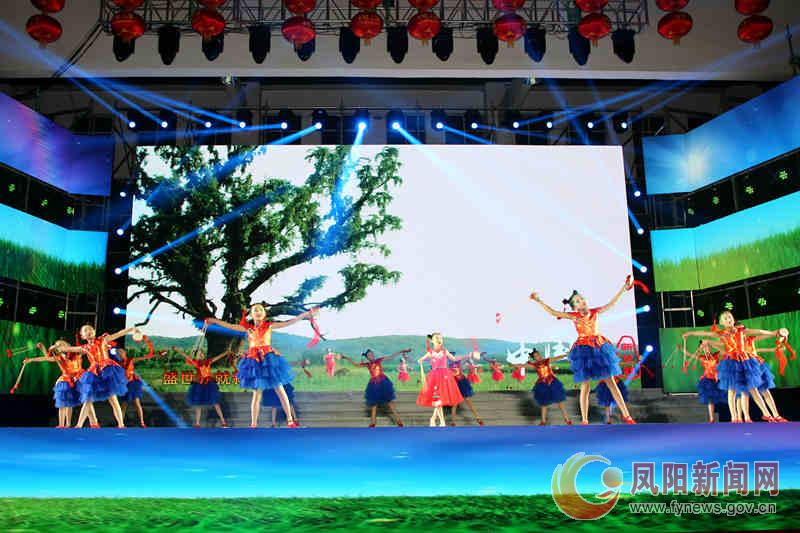 新时代新征程新伟业安徽,凤阳春节联欢晚会开幕式