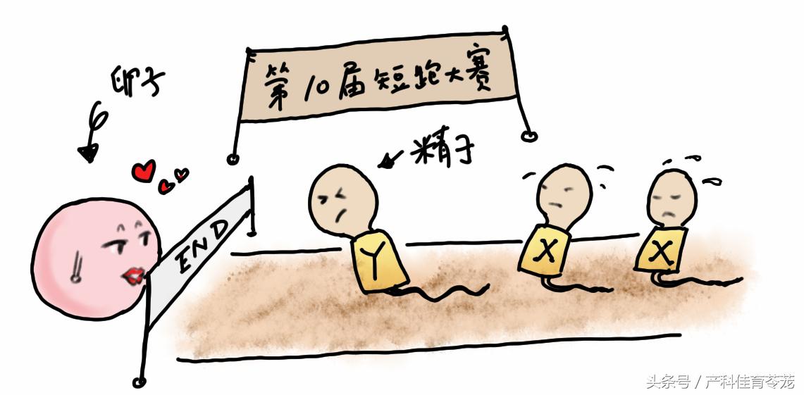 情人节送女孩子有意义的惊喜,第一个情人节送女生什么好