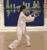 太极二十四式入门基本动作,太极入门学24式吗